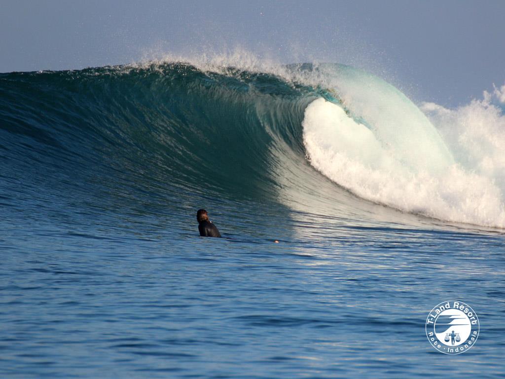 T Land Resort World Class Surf Waves In Nemberala Rote Island