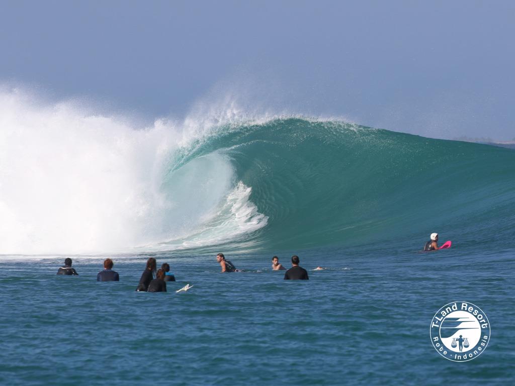 T Land Resort World Class Surf Waves In Nemberala Rote Island